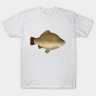 Crutean Carp T-Shirt